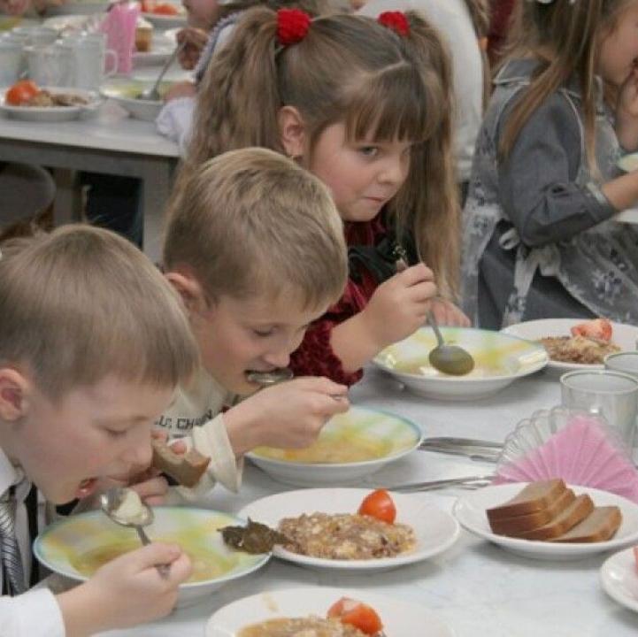 Нарушения при организации питания детей вскрыли в 12 воронежских школах